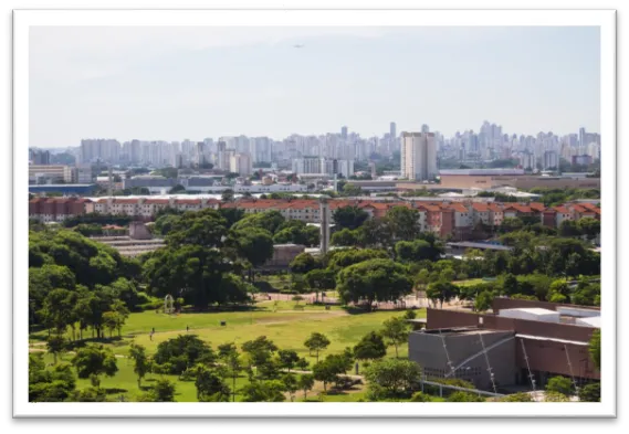 Desentupidora de Caixa de Gordura em Santana