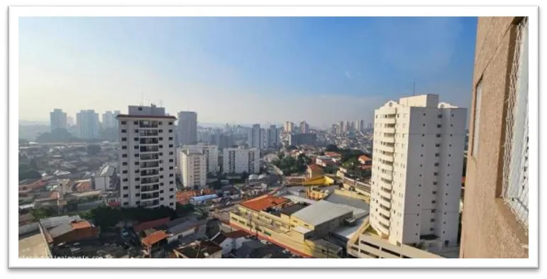 Desentupidora de Caixa de Gordura na Vila Marina