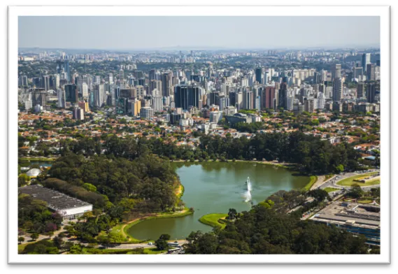 Desentupidora de Privada no Ibirapuera