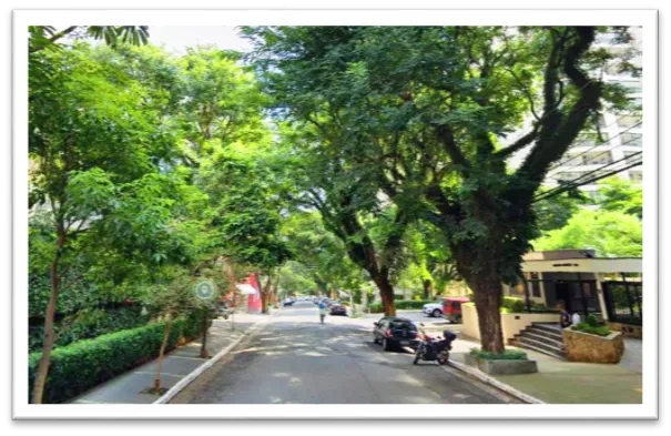 Desentupidora Ralo de Cozinha na Vila Mascote