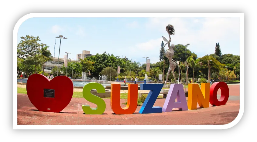 Desentupimento de Vasos Sanitário em Suzano